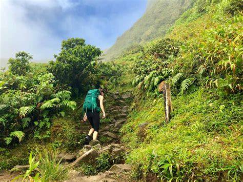 LES PLUS BELLES RANDONNÉES À FAIRE EN MARTINIQUE
